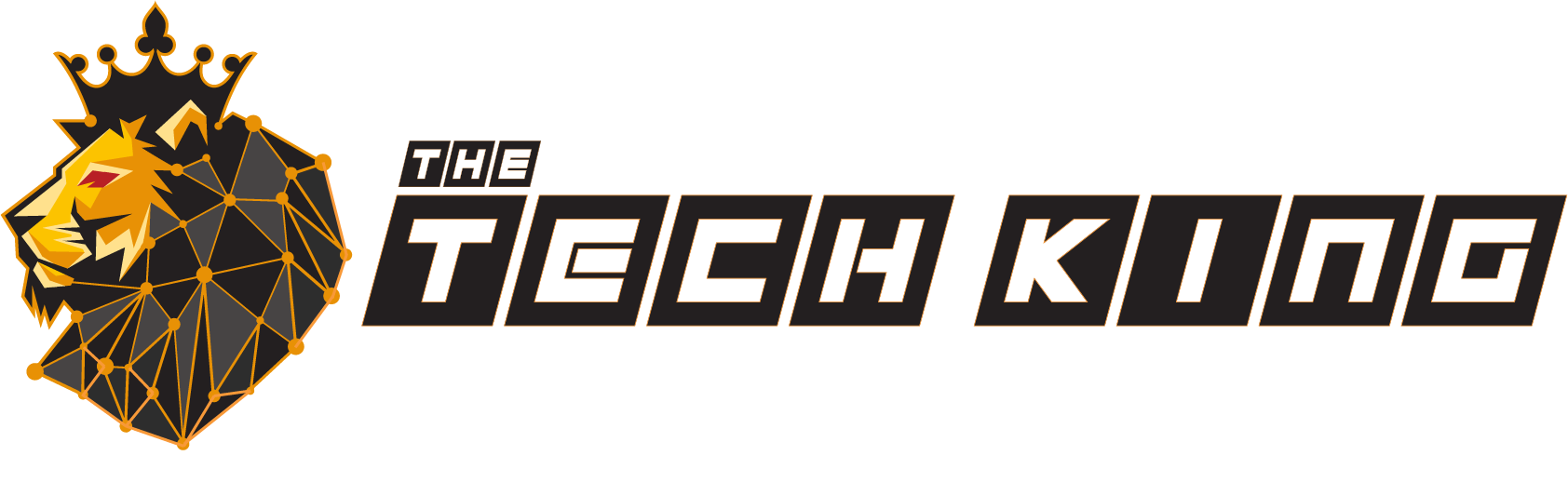 The Tech King